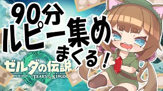 【90分】Switch2ティアキンでルピー集めまくる！！集まったルピー×50円が9月夏休みのお小遣い！！！【＃ゆいちゃま召喚】