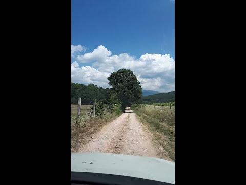 Property video