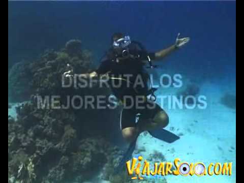 Buceo Mar Rojo