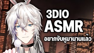 3DIO ASMR with Samuel "กระต่ายลูบๆ กระซิบข้างๆหู"