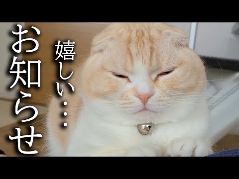 みなさまに嬉しいお知らせがあります...