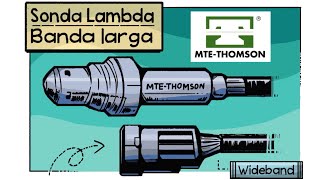 https://cursosonline.mte-thomson.com.br/como-funciona/como-funciona-a-sonda-lambda-banda-larga