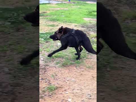 Mild cervical spondylosis