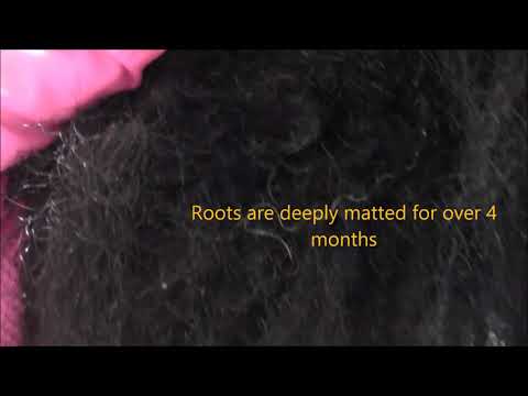 Free Hair Detangler Services for Matted Tangled Knots and Dreadlock