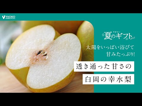 【5/31～受付開始】白岡の幸水梨