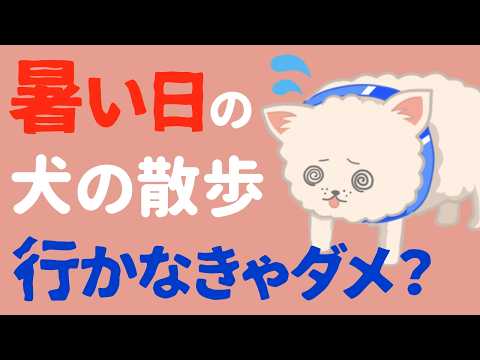 夏の散歩は中止すべき？エアコンは除湿or冷房どっち？犬の暑さ対策のギモンにお答えします！