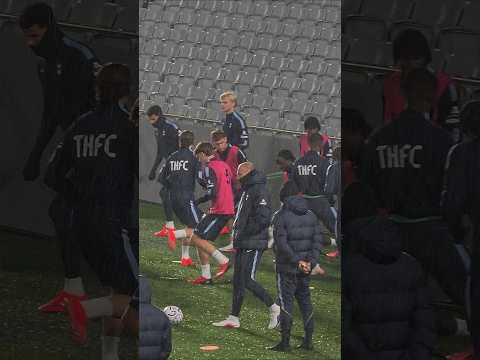 At Eden Park - Tottenham Hotspur open training session. #COYS #THFC