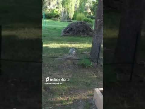 Video der Unterkunft