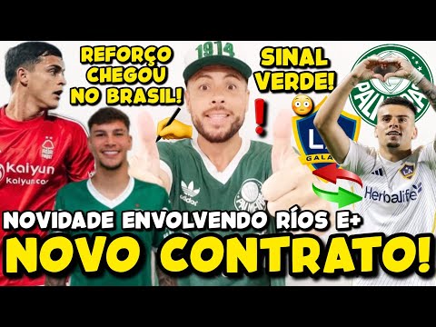 image para ilustrar o artigo