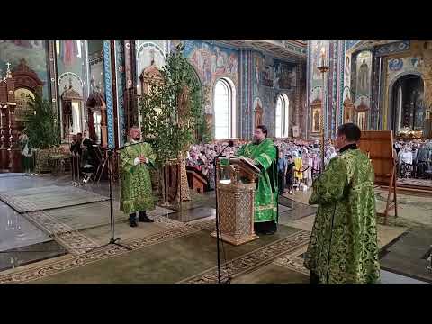 Протод. Александр Палий - чтение Евангелия