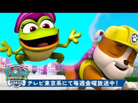 パウ・パトロール | パウ・パトロールの子犬たちの奇妙な夢！#3 ラブルと一緒 | 10分 | Nick Jr. | テレビ東京系にて放送中