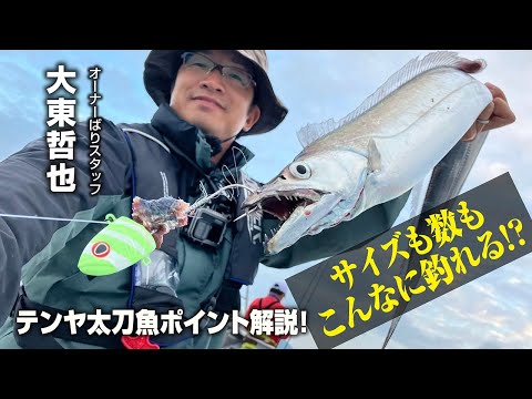 サイズも数もこんなに釣れる！テンヤ太刀魚ポイント解説