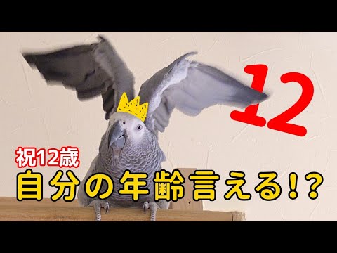 祝12歳!自分の年齢は言える?誕生日チャレンジ🎂