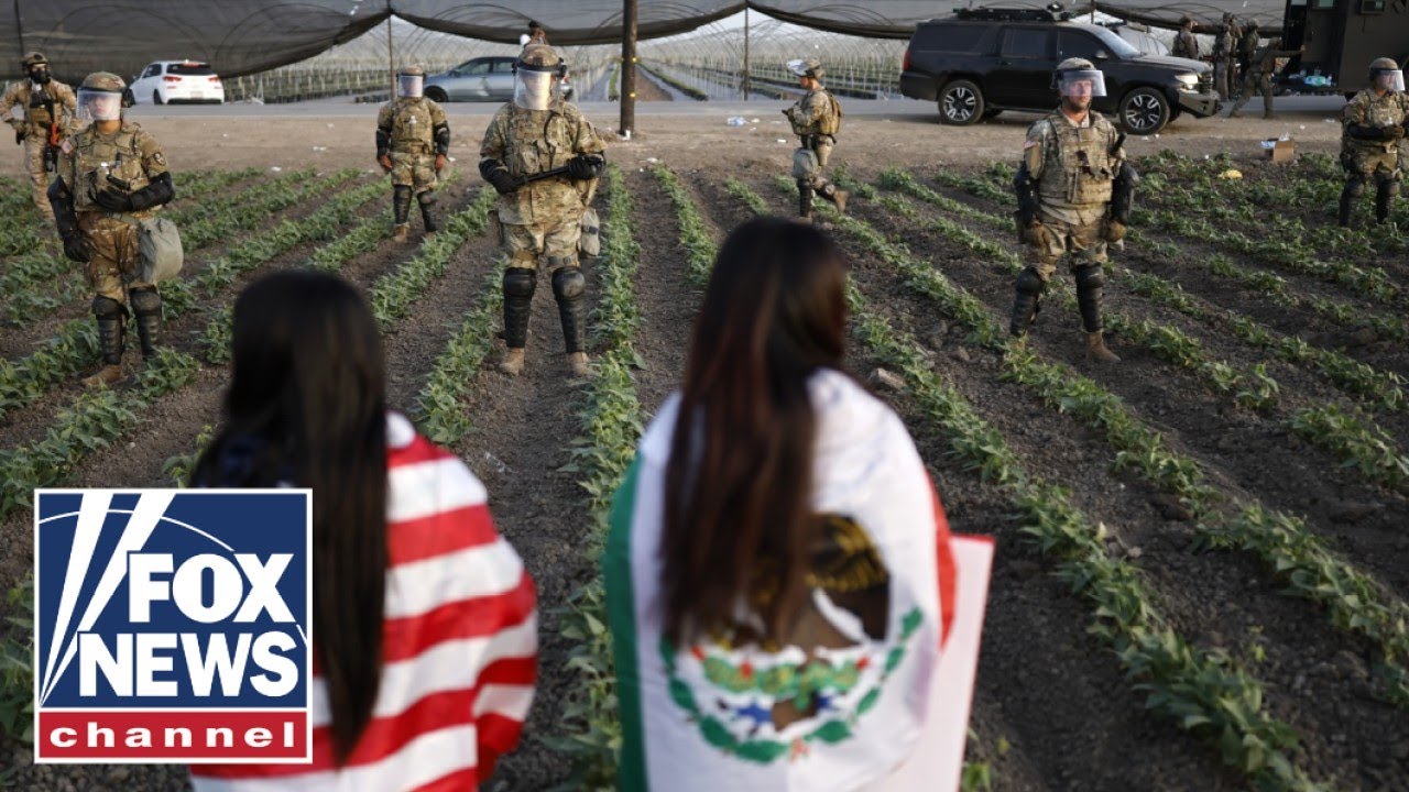 Border chief rips Dems' ICE resistance after pot farm raid: 'This is what you get!'
