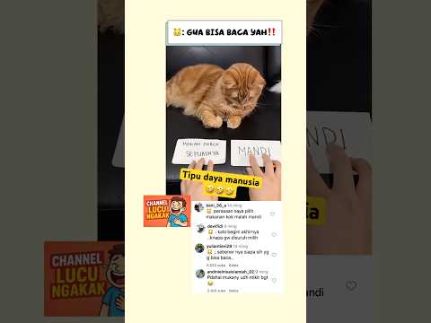 LUCU ABIZZ🤣 ketika kenyataan tidak sesuai😂😂 #shorts #kucinglucu #ngakakkocak