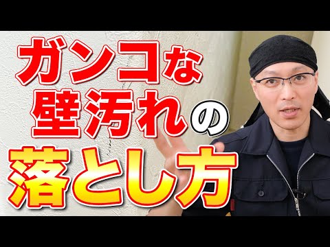 茂木和哉 茂木流掃除講座 の最新動画 Youtubeランキング