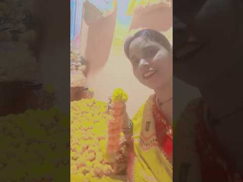 mere Sarkar Aaye Hain