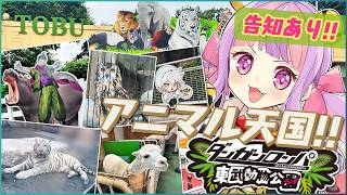 【告知あり!!】ホワイトタイガーに会ってきた!!ダンガンロンパ×東武動物公園🦛✨｜雑談