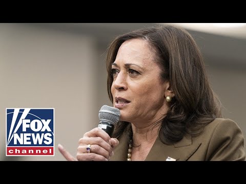 VP Harris loses another high-profile staffer amid mass exodus