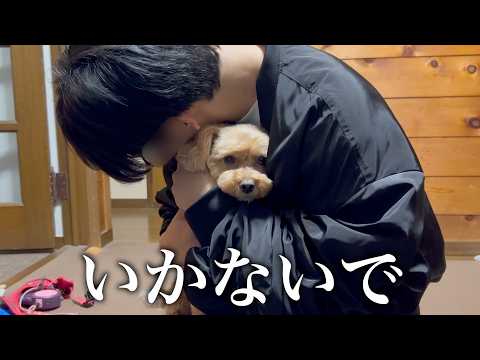 弟が実家を旅立つ日。まるで一生のお別れのように悲しむ姿に胸が締め付けられました…