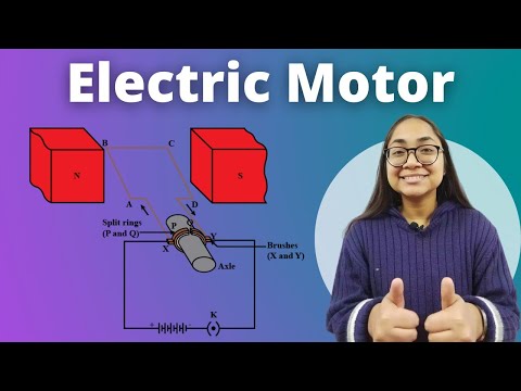 Working of Electric motor | Class 10 CBSE