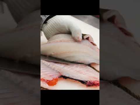 Amazing Knife Skill / halibut fishing cutting #shorts