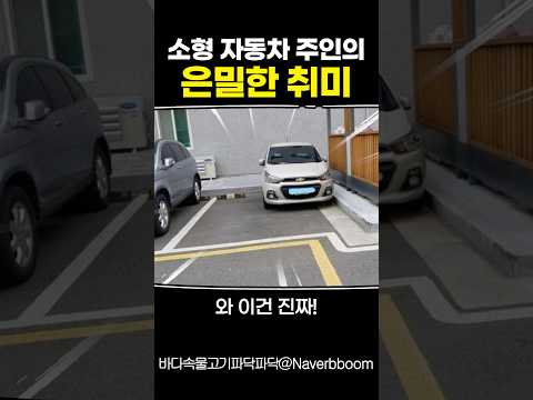 소형 자동차 주인의 은밀한 취미