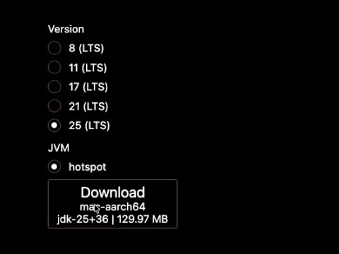 LTS JDK25 확정. VSCode 지원 시작