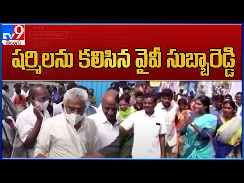 Y V Subba Reddy meets YS Sharmila Y V Subba Reddy meets YS Sharmila