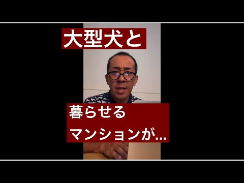 大型犬と暮らせるマンションが’少なすぎる〜💢！！