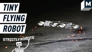Tiny Flying Microrobots Just Got the Update They Need | Mashable