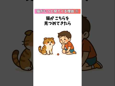猫の動画サムネイル - 【猫のおもしろ雑学】猫がじっと見てくる理由13選！① #猫 #雑学 #豆知識 #トリビア