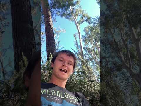 Dating advice #dating #datingadvice  #advice #funny #shorts