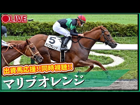 【 #マリブオレンジ】函館ダート1700m！久々ダートで好走を！出資馬全力応援ライブ配信 ！ #推し活最高