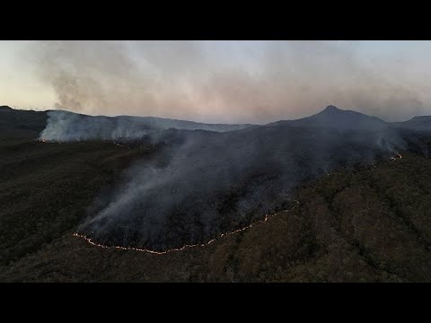 Αναβολή και χαλάρωση του νόμου της ΕΕ για την αποψίλωση των δασών από το Κοινοβούλιο…