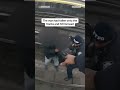 Officers, civilian save man who fell onto subway tracks  - 00:26 min - News - Video
