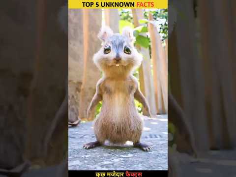 An animal that cannot see the Red colour. #youtubeshorts #facts #shorts