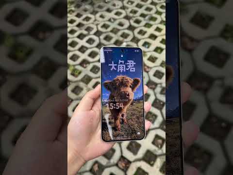 I've already got my hands on the OnePlus Ace6 Quicksilver, featuring a 165Hz 1.5K flat screen