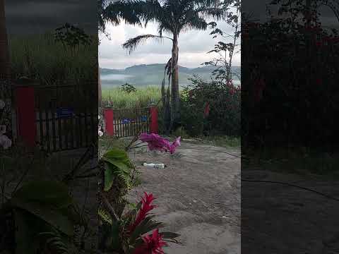 Bom dia gente Deus abençoe 🙏