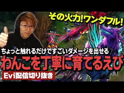 【ナフィーリ vs ヨリック】その火力！ワンダフル！ちょっと触れるだけですごいダメージを出せるわんこを丁寧に育てるえび【SHG Evi】