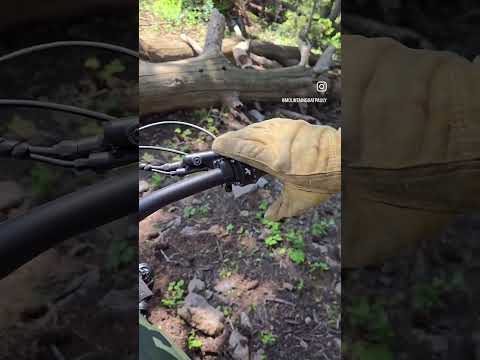 Why This Bike Is Perfect For Rocky Trails!