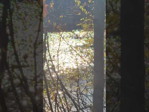 sunlight water with perfect wind