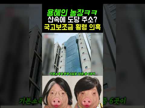 나랏돈 빼먹기 쉽네 ㅋㅋ 기본소득당 시도당 사무실 찾아가보니 ‘농장·아파트’
