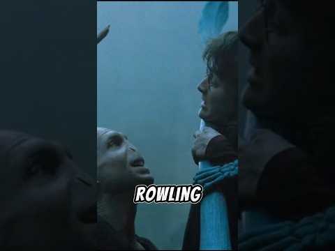 HARRY POTTER Book Fact That Were NEVER MENTIONED IN MOVIES😱 #harrypotter #facts #subscribe