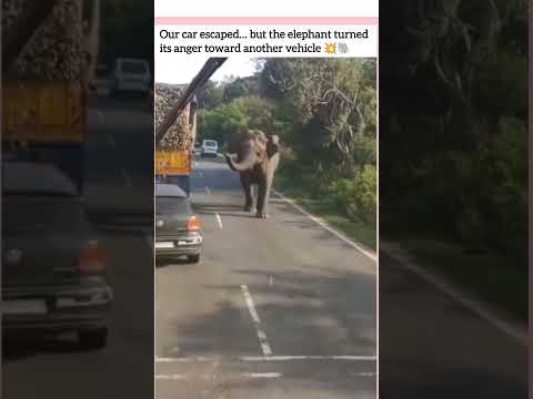 This car got saved, but the other vehicle wasn’t so lucky😂