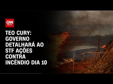 Teo Cury: Governo detalhará ao STF ações contra incêndio dia 10 | CNN NOVO DIA