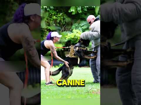 Dog Breeds To Protect Your Family #petshub #dogbreed #facts #petcareprovider #viralshort #foryou