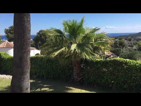 Property video
