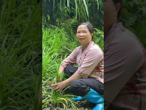 Mẹo t.è dầm cho bé #meo #meodangian #thaoduocdantoc  #balaithaoduocdantoc