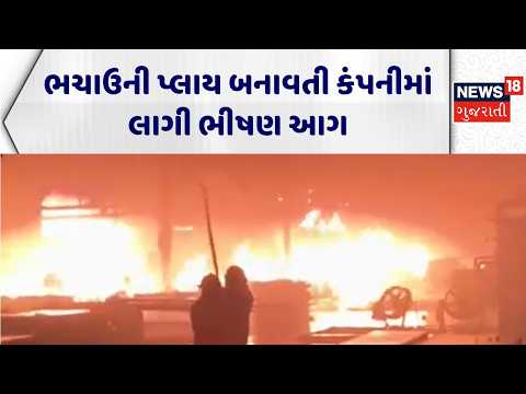 Kutch Fire Incident | ભચાઉની પ્લાય બનાવતી કંપનીમાં લાગી ભીષણ આગ | Fire Incident | Fire Breakout